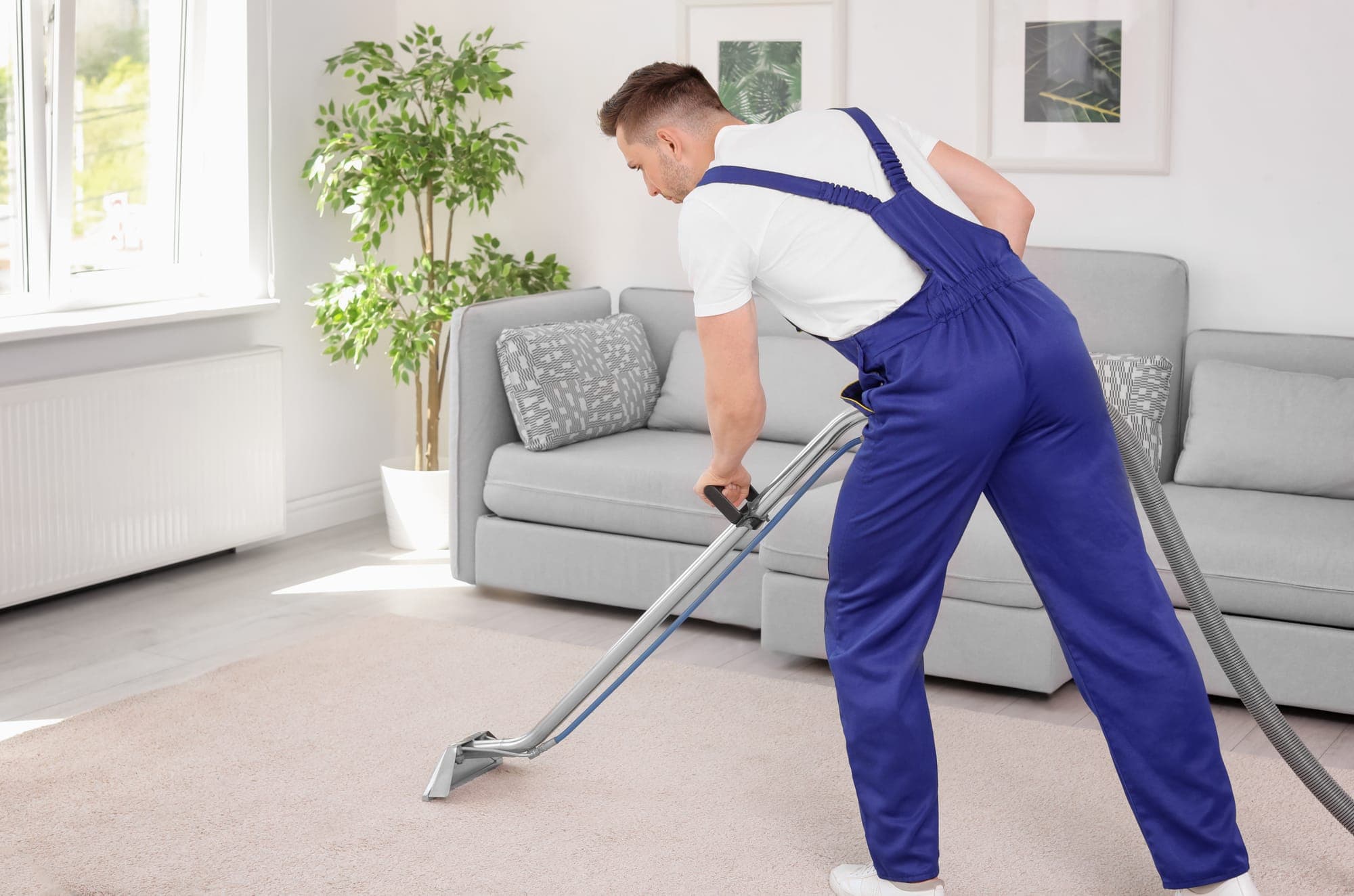 Carpet Cleaning services from Empire Cleaning Services